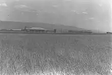 Mesilot 1939