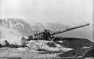 A 145 Mle 1916 in Norway during World War II.