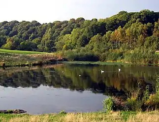 Derwenthaugh Park now sits on the site of the coke works