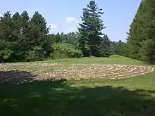 Labyrinth