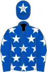 Blue, white stars, blue sleeves, white stars, blue cap, white star