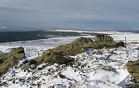 Sighty Cragg