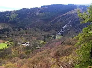 From Crone Woods on slopes of Maulin