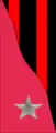 13th Infantry Division "Re" medics
