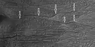 Channel of a gully indicated with arrows. Picture enlarged from previous image.