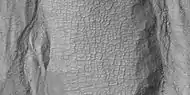 Close view of polygons near gullies in Ross Crater, as seen by HiRISE under HiWish program.  Note: this is an enlargement of a previous image.