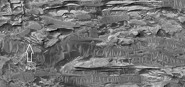 Close view of layers in Crommelin crater, as seen by HiRISE.  Arrow points to a fault.
