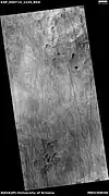 Scalloped topography, as seen by HiRISE under HiWish program.  Dust devil tracks are also visible.