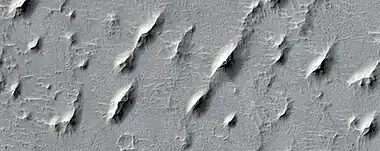 Close view of yardangs in Arabia quadrangle  These features are shaped by the wind.