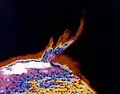 False color image of a solar prominence   (Skylab 3, August 21, 1973)
