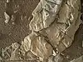 "Unnamed-20180102" curious rock shapes (bio or geo?) on Mars – as viewed by Curiosity (January 2, 2018).