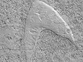 "Star Trek" Starfleet emblem – formed from dunes on Mars.