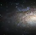 Part of NGC 3621 imaged by HST.