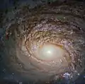 Center of the galaxy imaged by the Hubble Space Telescope.