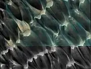 The dunes of Abalos Undae with gypsum deposits map-projected in RGB colour