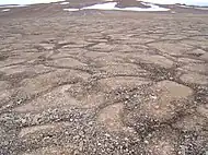 ... with patterned ground on Devon Island in the Canadian Arctic, on Earth