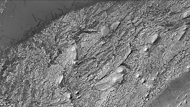 Crommelin crater showing layers and dust devil tracks, as seen by CTX camera.  Note: this is an enlargement of a previous image of Crommelin crater.