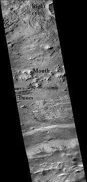 Part of Galle Crater, as seen by CTX camera (on Mars Reconnaissance Orbiter).  The right eye and mouth are labeled.  One of two dune fields are labeled as well.