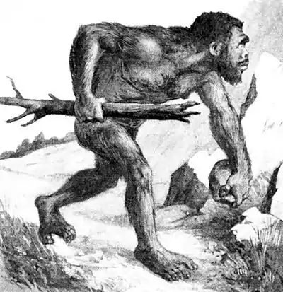 009-AN APE MAN.jpg