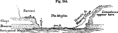 Fig. 244.