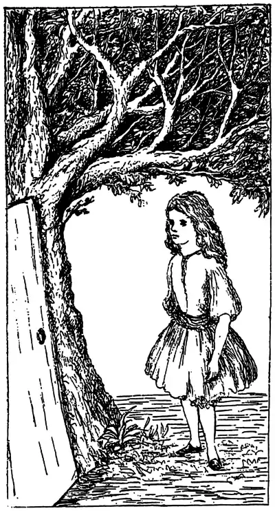 AAUG p67.png