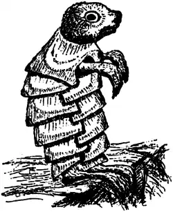 AAUG p79.png