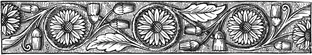 AFR V3 D013 Page decoration.jpg
