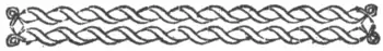 ALPP - Graphic 4.png