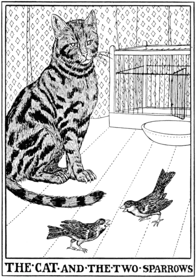 The Cat and the two Sparrows.