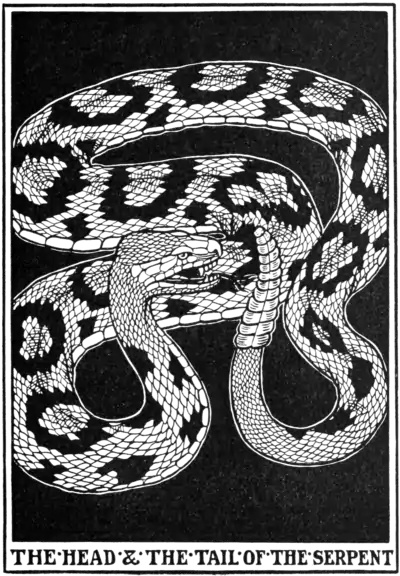 The Head & Tail of the Serpent.