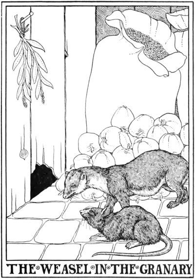 The Weasel in the Granary.