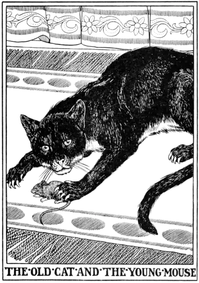 The old Cat and the young Mouse.