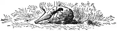 A Tramp Abroad 0227h.jpg