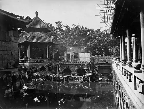 An unknown garden