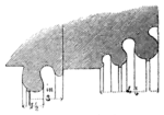 Archaeological Journal, Volume 2, 0156c.png