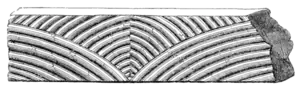 Archaeological Journal, Volume 2, 0266b.png