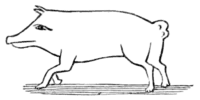 Archaeological Journal, Volume 3, 0313c.png