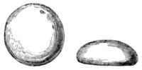 Archaeological Journal, Volume 7, 0105a.png