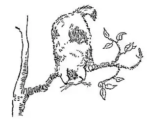 BookOfNurseryRhymes70.jpg