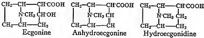 Britannica Ecgonine.jpg