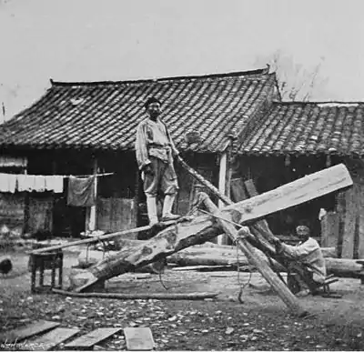 CHINESE SAWYERS.jpg