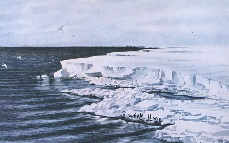 Watercolour of an irregular ice edge facing open water, with a small flock of penguins