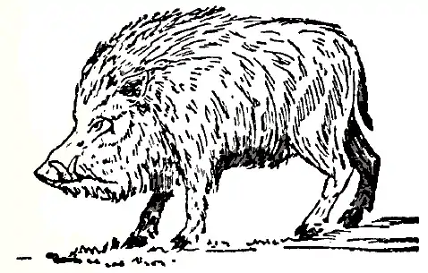 300