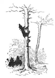 Collodi - The Story of a Puppet, translation Murray, 1892 073 2.png