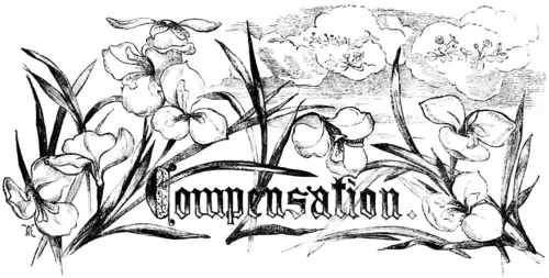 COMPENSATION.