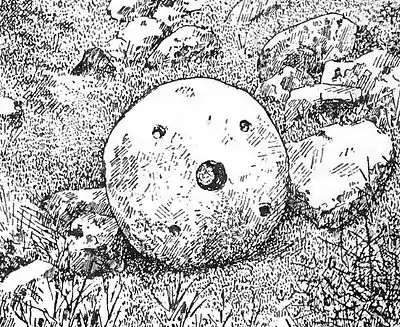 Crazing-Mill Stone, Upper Gobbetts-A Book of Dartmoor.jpg