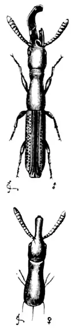 DarwinAbst10.png