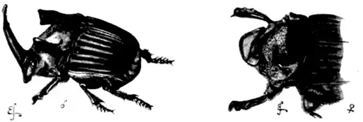 DarwinAbst18.png