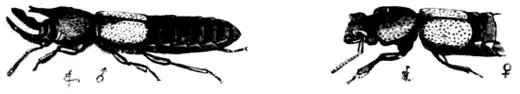 DarwinAbst23.png