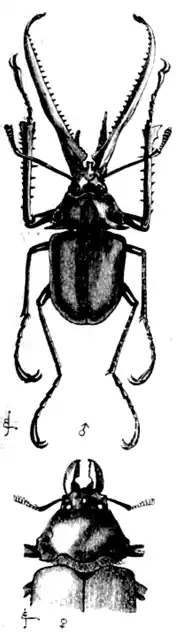 DarwinAbst24.png